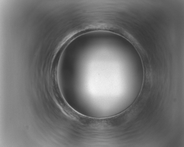 X0000081400674200701182259