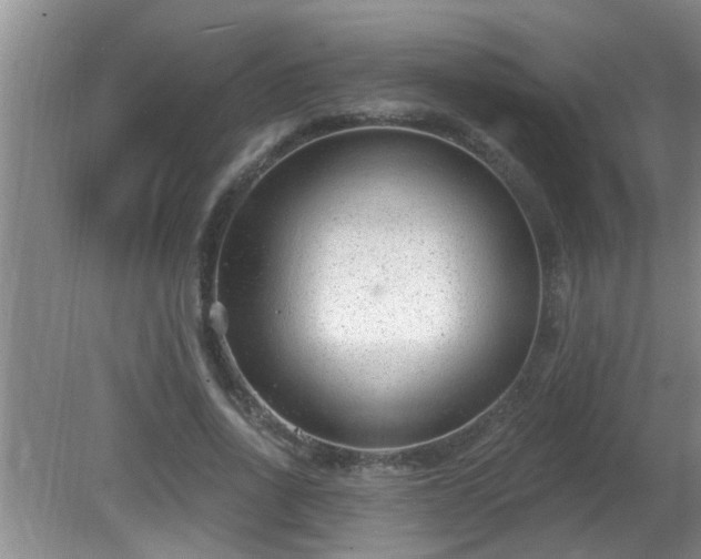 X0000081400734200701182257