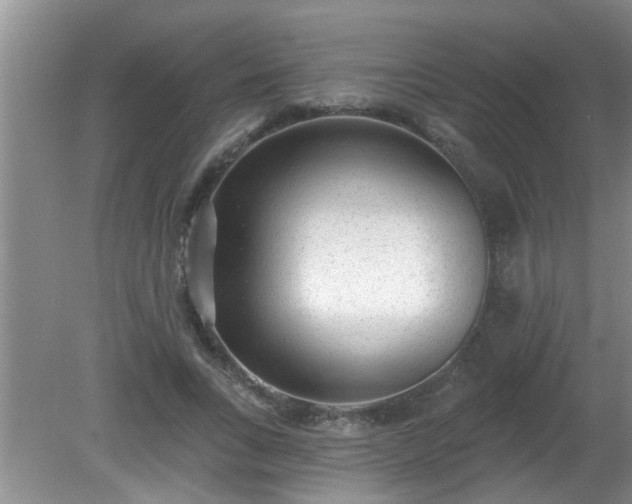 X0000081400735200701182257