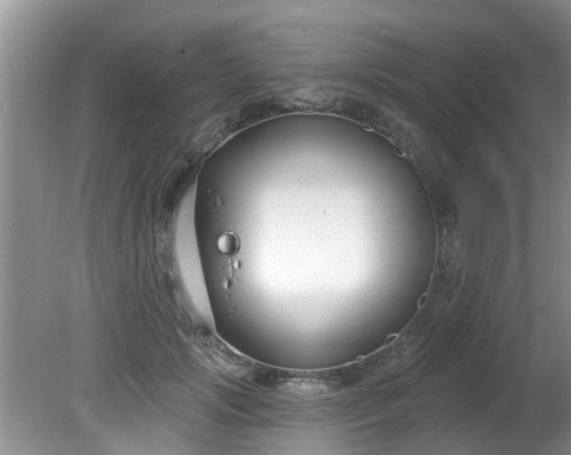 X0000081400749200701182258
