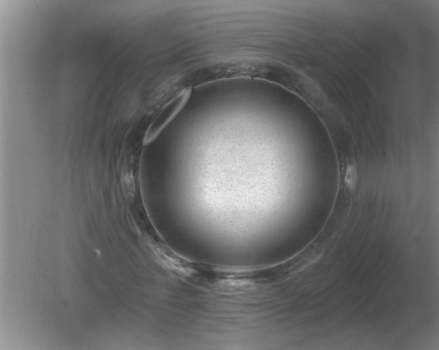 X0000081400771200701182257