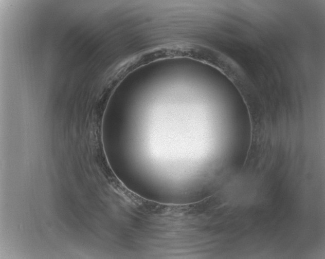 X0000081400773200701182257