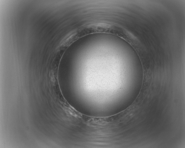 X0000081400774200701182257