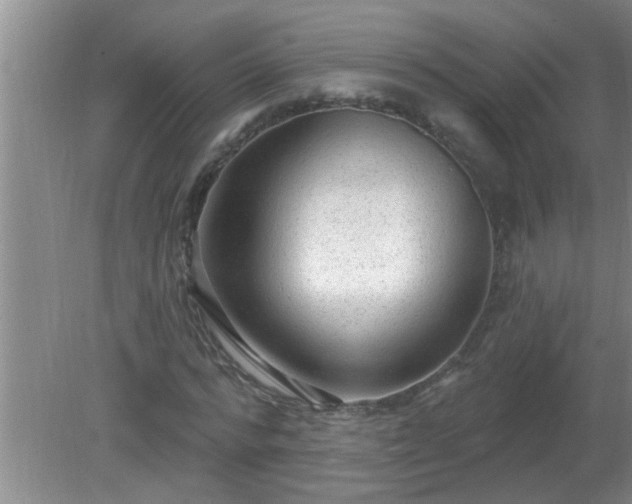 X0000081400776200701182257