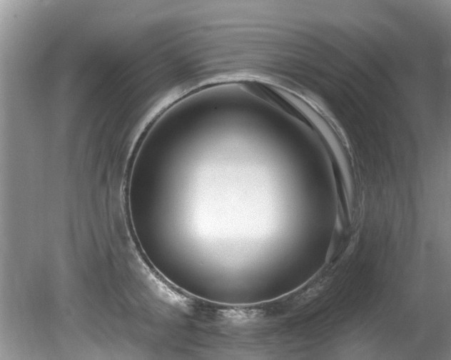 X0000081400805200701182257