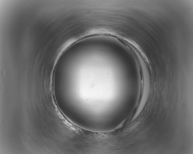 X0000081400815200701182256