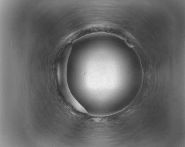 X0000081400822200701182256