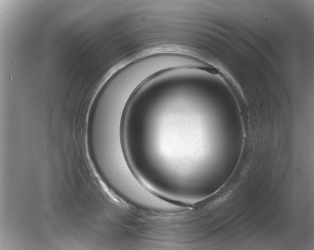 X0000081400845200701182256