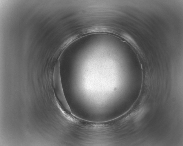 X0000081400849200701182256