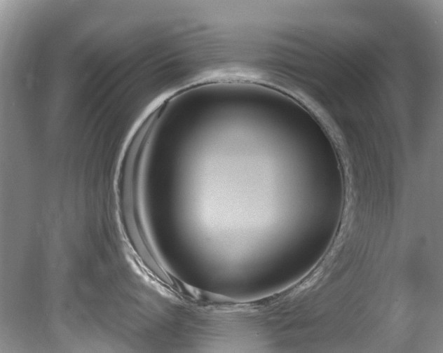 X0000081400864200701182256
