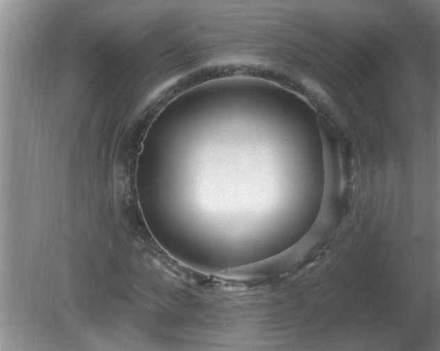 X0000081400872200701182255