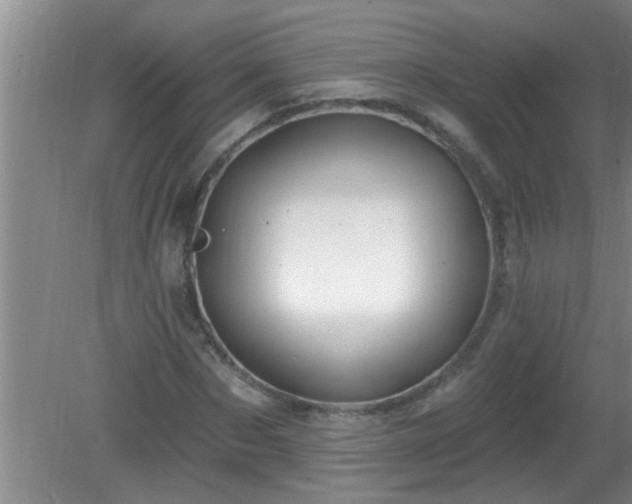 X0000081400873200701182255
