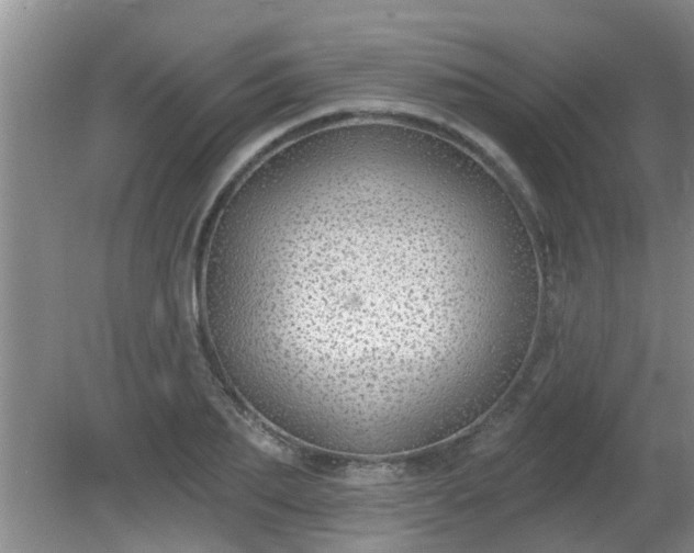X0000081400887200701182255