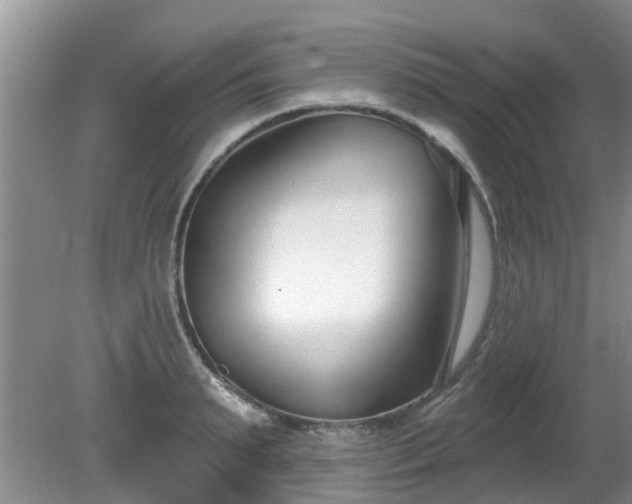 X0000081400895200701182255