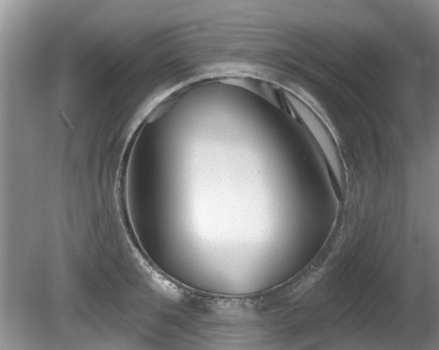 X0000081400901200701182255