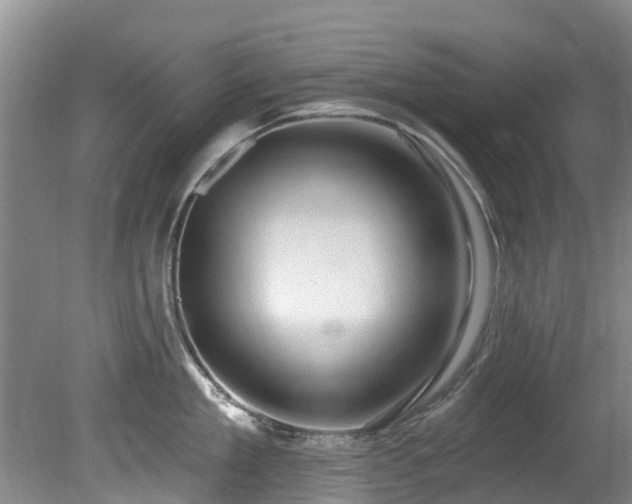 X0000081400909200701182255