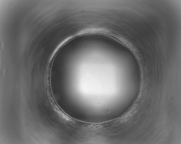 X0000081400912200701182255