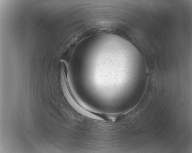 X0000081400916200701182254