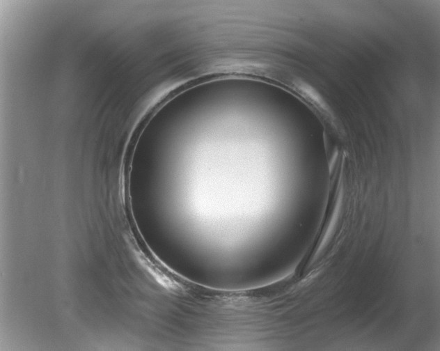 X0000081400940200701182254