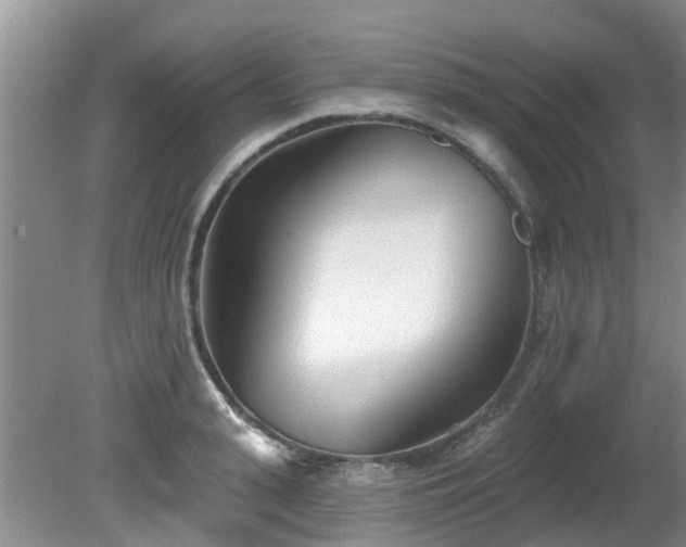 X0000081400943200701182254