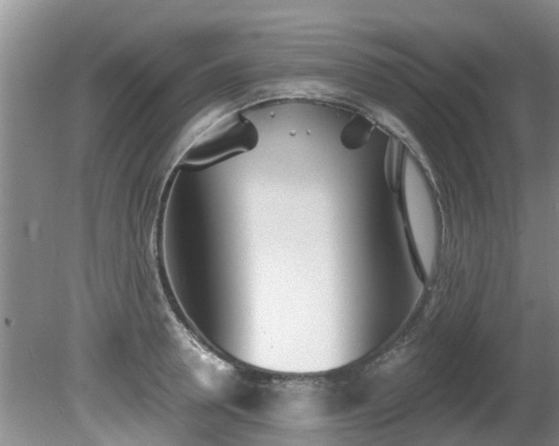 X0000081400946200701182254