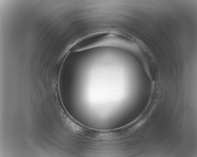 X0000081400985200701182253