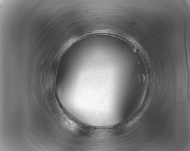 X0000081400993200701182253