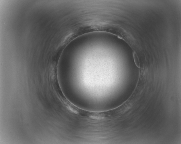 X0000081401012200701182252