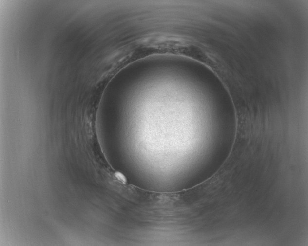 X0000081401013200701182252