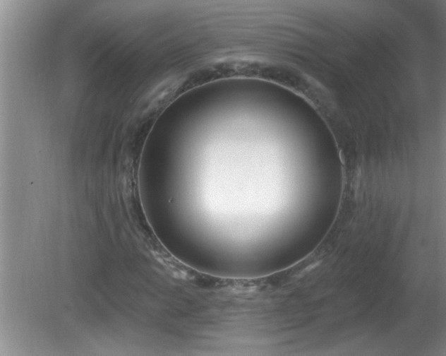 X0000081401014200701182252