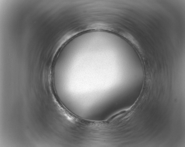 X0000081401040200701182253
