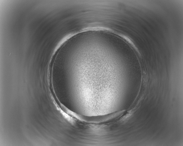 X0000081401046200701182253