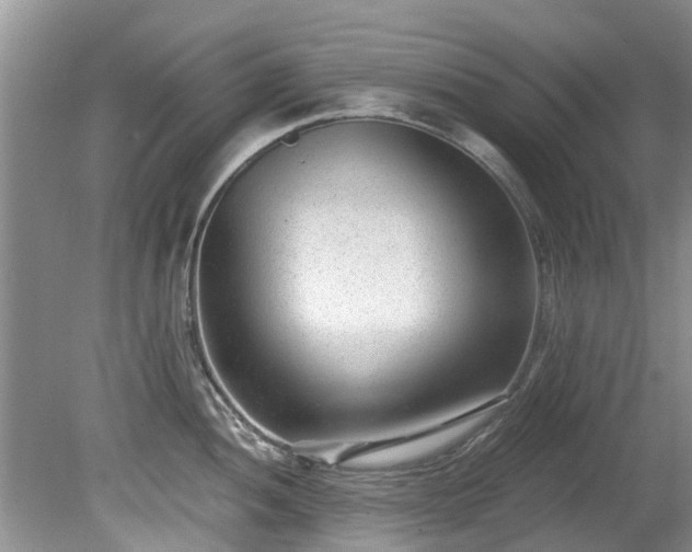 X0000081401052200701182253