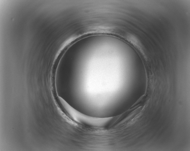 X0000081401085200701182252