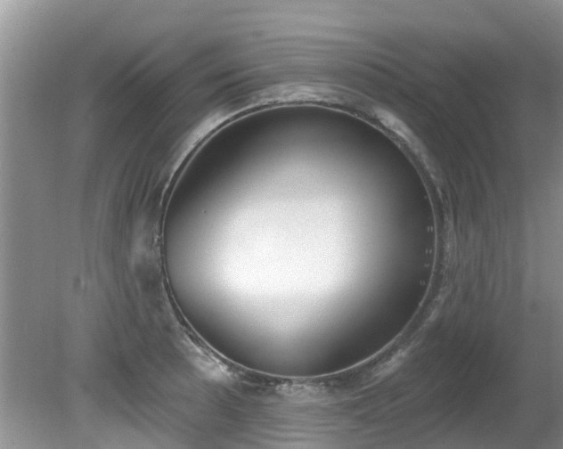 X0000081401089200701182252