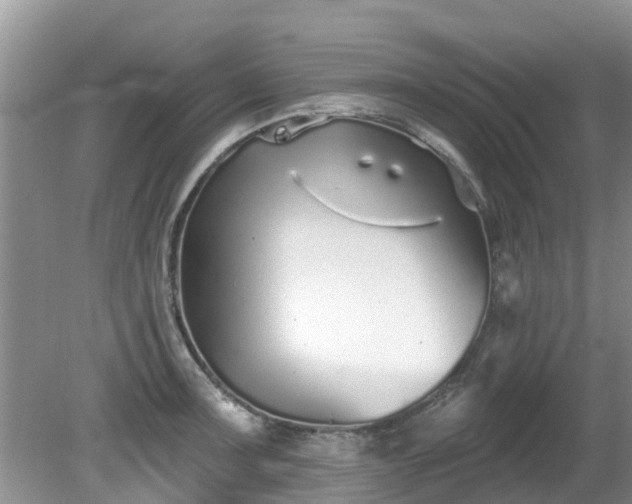 X0000081401091200701182252
