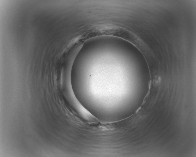 X0000081401108200701182251