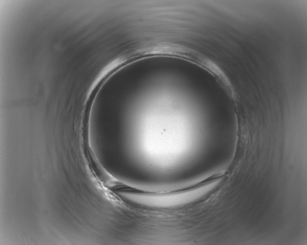 X0000081401138200701182251
