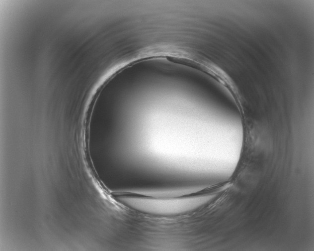 X0000081401144200701182251