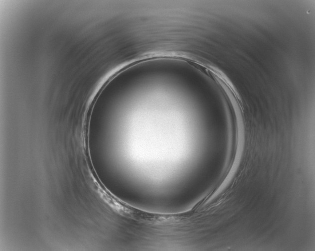 X0000081401148200701182251