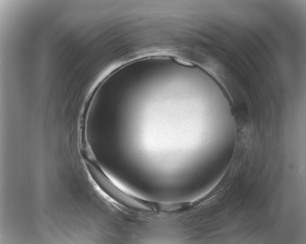 X0000081401151200701182251