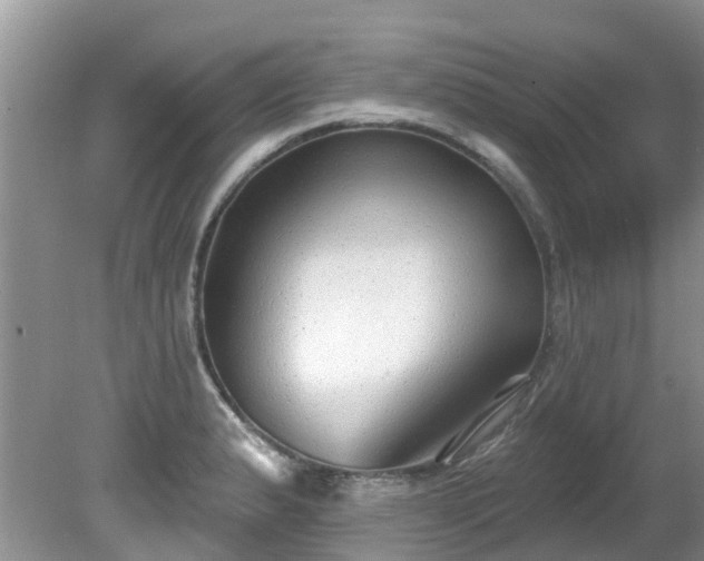X0000081401183200701182250