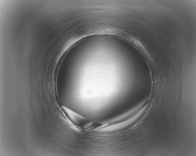 X0000081401184200701182250