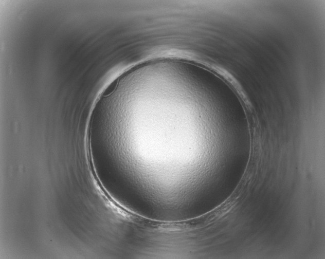 X0000081401199200701182250