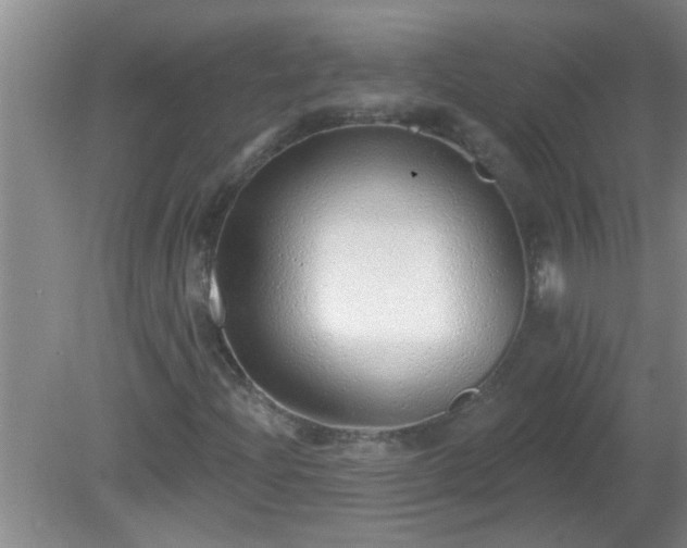 X0000081401204200701182249