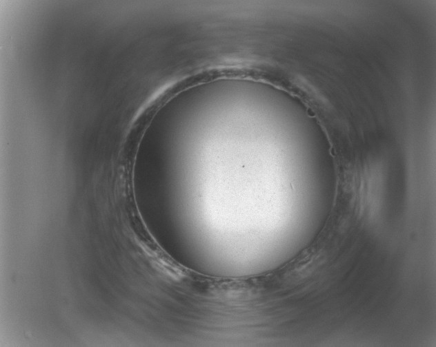 X0000081401208200701182249