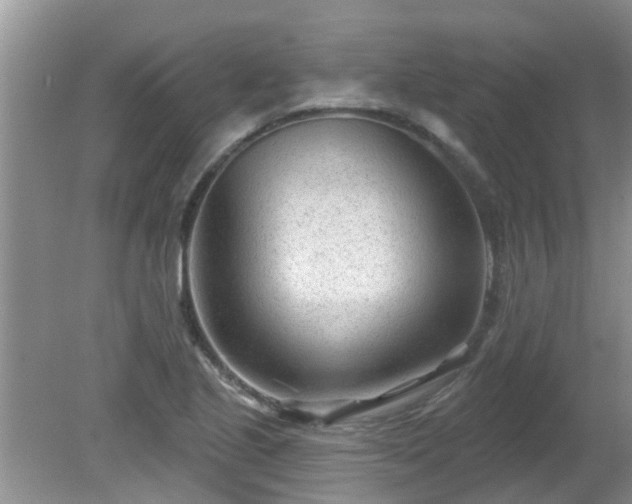 X0000081401221200701182249