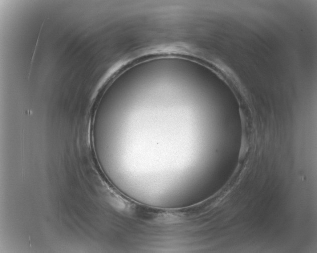 X0000081401224200701182249