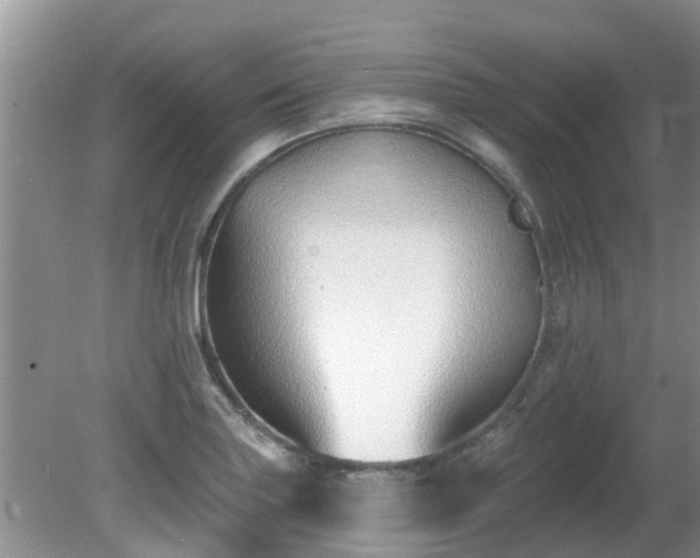 X0000081401227200701182249