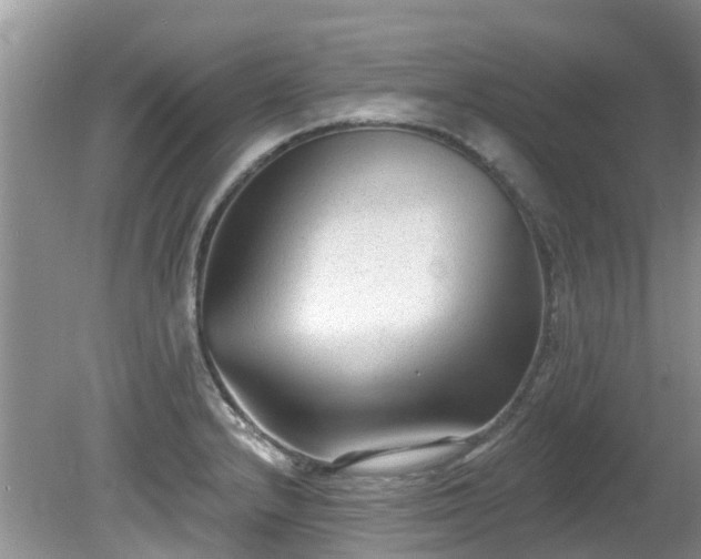 X0000081401232200701182250